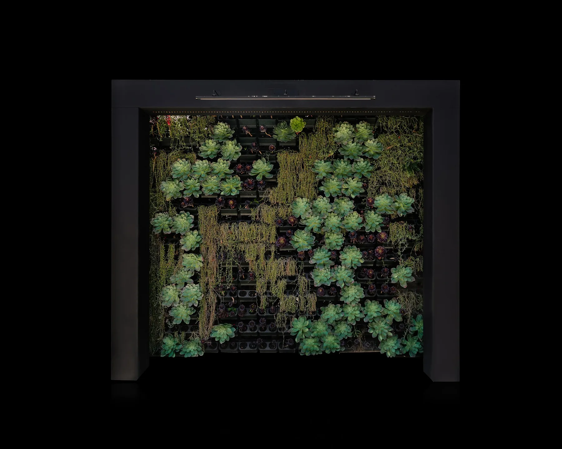 VERDURE — Living Monolith